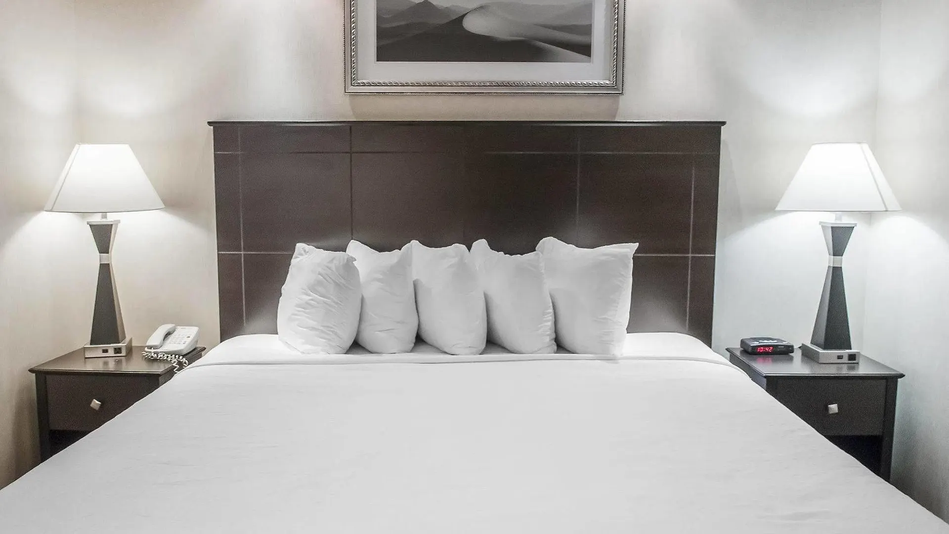 Hotel Econo Lodge Inn & Suites Downtown Toronto