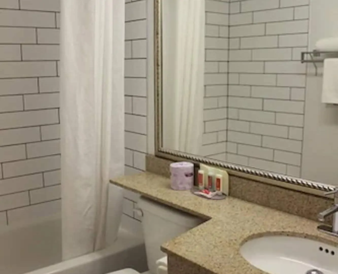 Econo Lodge Inn & Suites Downtown Toronto Hotel