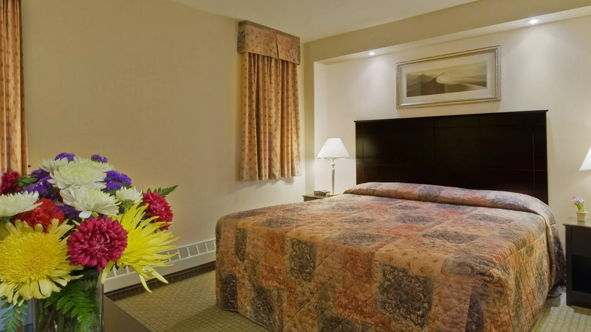 Econo Lodge Inn & Suites Downtown Toronto Hotel