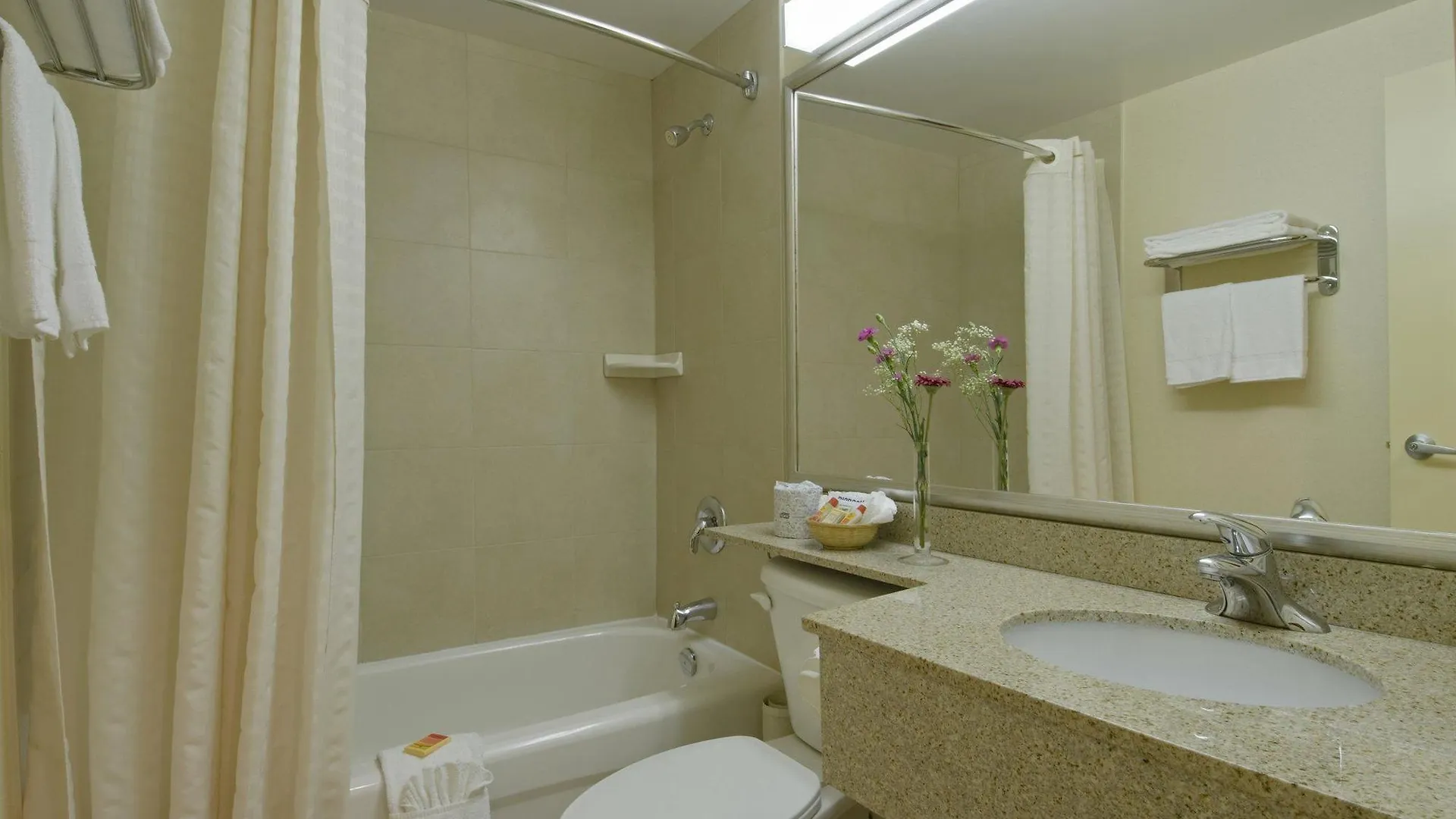 Econo Lodge Inn & Suites Downtown Toronto